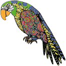 Detailed Parrot