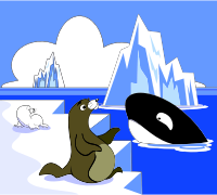 A Seal A Sea Lion And A Killer Whale