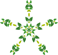 Leafy Design 3