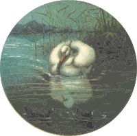 Circular swan drawing