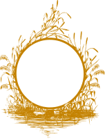Reed frame (golden)