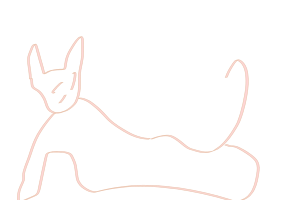 Posh cat