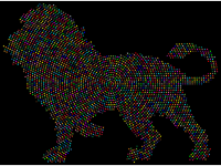Colorful Lion Stars With Black Background