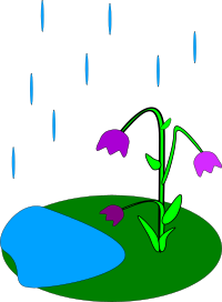 rain