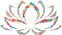 Colorful Lotus Flower Circles