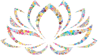 Colorful Lotus Flower Circles 2