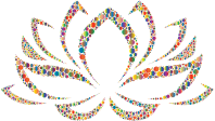 Colorful Lotus Flower Circles 3