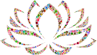 Colorful Lotus Flower Circles 4
