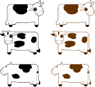 Black And Brown Cows