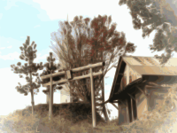 Torii and shrine