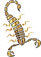 Colorful Abstract Tribal Scorpion 5