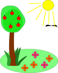 summer