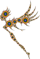Colorful Fairy Circles 6