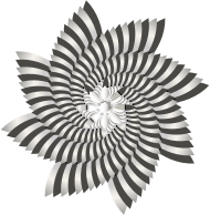 Hypnotic Nautilus