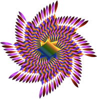 Colorful Nautilus