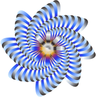 Colorful Nautilus 3