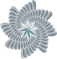 Colorful Nautilus 4