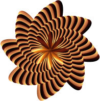 Colorful Nautilus 5