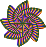 Colorful Nautilus 7