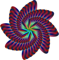 Colorful Nautilus 8