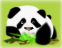 panda