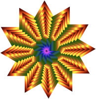 Vortex Star