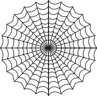 spiders web