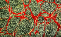 Marbled pattern 10