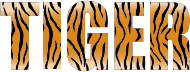 Tiger Typography