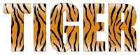 Tiger Typography Enhanced