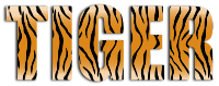 Tiger Typography Enhanced 2