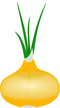 Onion