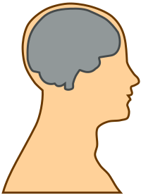 Silhouette of a brain
