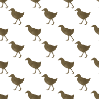 Okinawa rail-seamless pattern