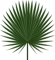 Sabal leaf