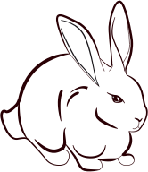Rabbit Line Art