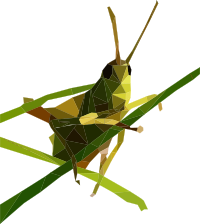 Low Poly Grasshopper