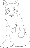 Fox Line Art
