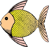 tropical fish