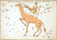 Urania's Mirror - plate 2