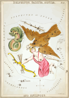 Urania's Mirror - plate 13