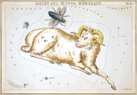 Urania's Mirror - plate 16