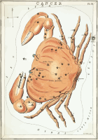Urania's Mirror - plate 19