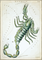 Urania's Mirror - plate 23