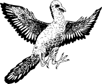 archaeopteryx