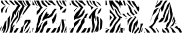 Zebra Typography
