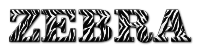 Zebra Typography Enhanced 3
