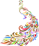 Chromatic Peacock No Background