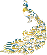 Chromatic Peacock 4 No Background