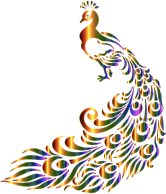 Chromatic Peacock 7 No Background